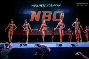 WELLNESS НОВИЧКИ